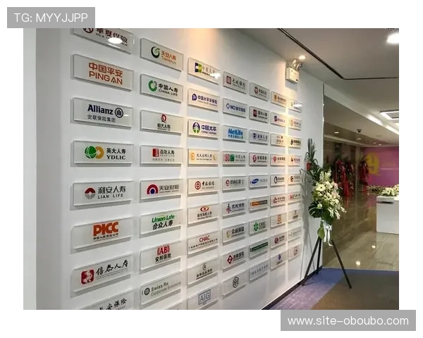 全面解析欧博买分代理合作流程及合作优势实现共赢发展